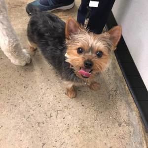 Meet your Posher, Mieke